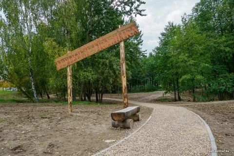 Bird's glade