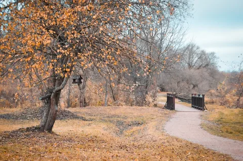 Chizhovka