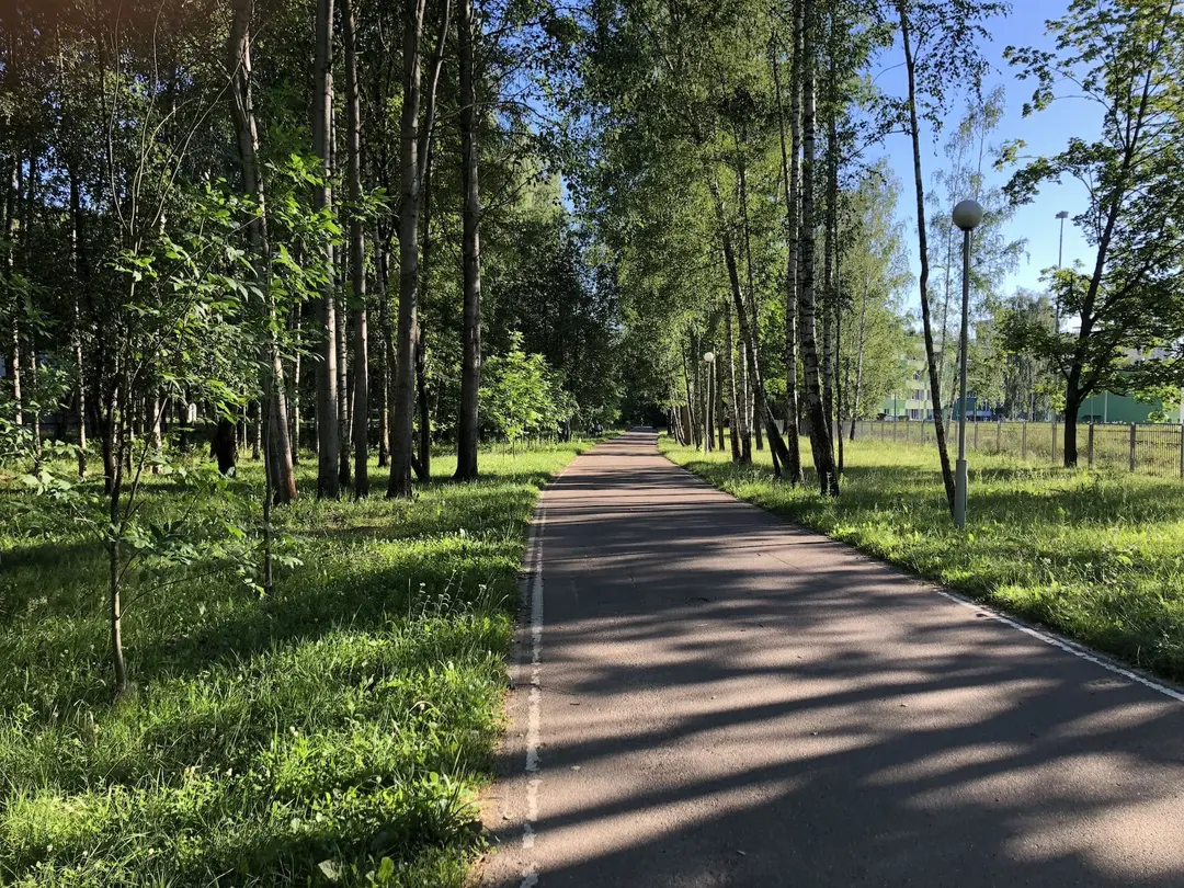 Лыжаролерная траса "Зялёны Луг"