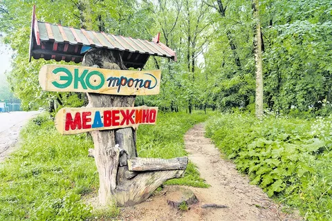 Medvezhino