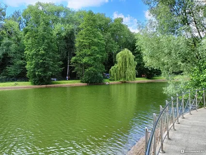 Легенды беларускай флоры