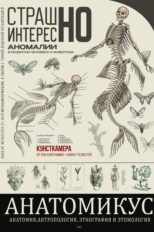 Выставка "Анатомикус"